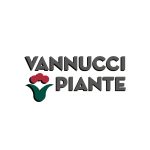 VannucciPiante